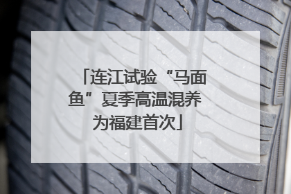 连江试验“马面鱼”夏季高温混养 为福建首次