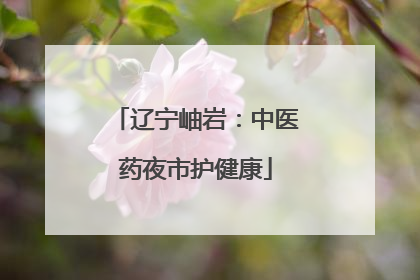 辽宁岫岩：中医药夜市护健康