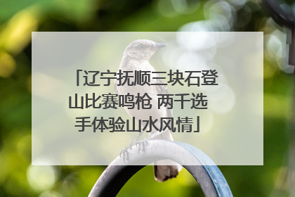 辽宁抚顺三块石登山比赛鸣枪 两千选手体验山水风情