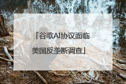 谷歌AI协议面临美国反垄断调查