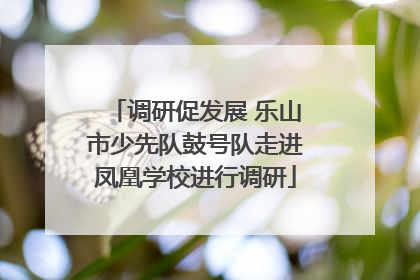 调研促发展 乐山市少先队鼓号队走进凤凰学校进行调研