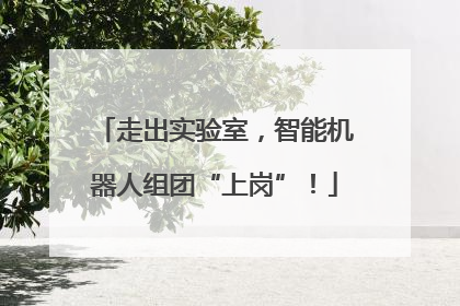 走出实验室，智能机器人组团“上岗”！