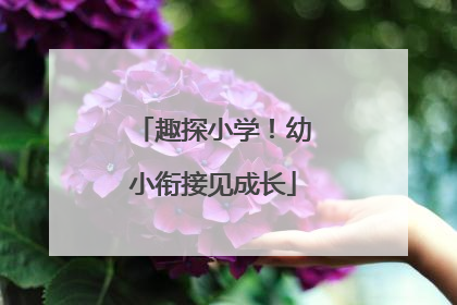 趣探小学！幼小衔接见成长