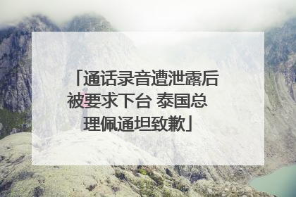 通话录音遭泄露后被要求下台 泰国总理佩通坦致歉