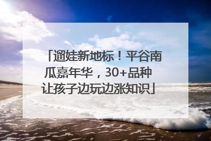 遛娃新地标！平谷南瓜嘉年华，30+品种让孩子边玩边涨知识