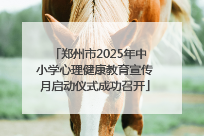 郑州市2025年中小学心理健康教育宣传月启动仪式成功召开
