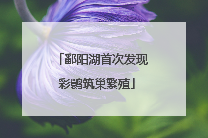 鄱阳湖首次发现彩鹮筑巢繁殖