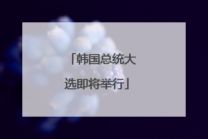 韩国总统大选即将举行
