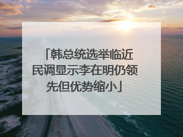 韩总统选举临近 民调显示李在明仍领先但优势缩小