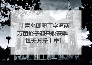 青岛即墨丁字湾两万亩蛏子迎来收获季 每天万斤上岸