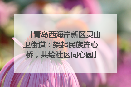 青岛西海岸新区灵山卫街道：架起民族连心桥，共绘社区同心圆