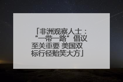 非洲观察人士：“一带一路”倡议至关重要 美国双标行径贻笑大方