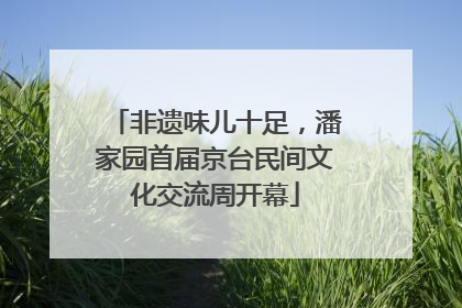 非遗味儿十足，潘家园首届京台民间文化交流周开幕
