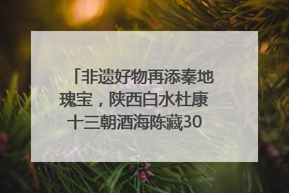 非遗好物再添秦地瑰宝，陕西白水杜康十三朝酒海陈藏30年别具一格