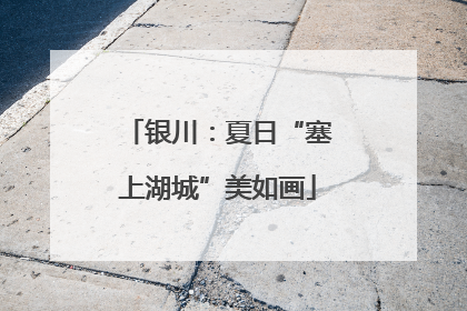 银川：夏日“塞上湖城”美如画