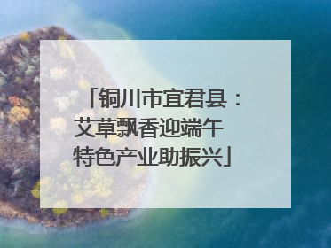 铜川市宜君县：艾草飘香迎端午 特色产业助振兴