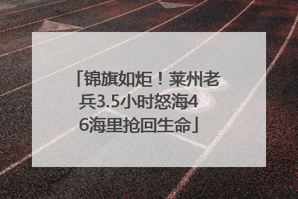 锦旗如炬！莱州老兵3.5小时怒海46海里抢回生命