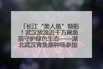 长江“美人鱼”领衔！武汉放流近千万尾鱼苗守护绿色生态——湖北武汉青鱼原种场参加2025年“全国放鱼日”增殖放流活动