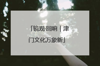 镜观·回响｜津门文化万象新