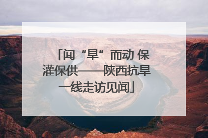 闻“旱”而动 保灌保供——陕西抗旱一线走访见闻