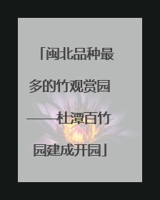 闽北品种最多的竹观赏园——杜潭百竹园建成开园