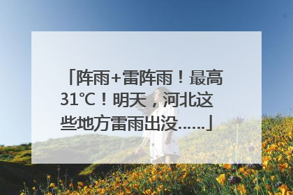 阵雨+雷阵雨！最高31℃！明天，河北这些地方雷雨出没……