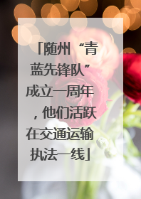 随州“青蓝先锋队”成立一周年，他们活跃在交通运输执法一线