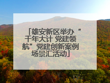 雄安新区举办“千年大计 党建领航”党建创新案例场景汇活动