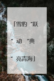 雪豹“跃”动 “典”亮青海