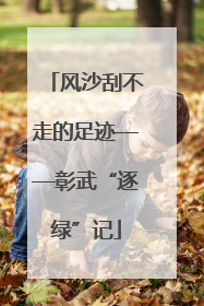 风沙刮不走的足迹——彰武“逐绿”记