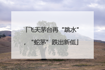 飞天茅台再“跳水”，“蛇茅”跌出新低
