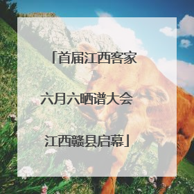 首届江西客家六月六晒谱大会江西赣县启幕