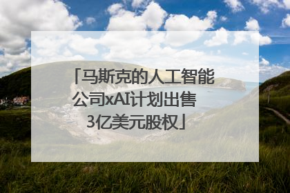 马斯克的人工智能公司xAI计划出售3亿美元股权