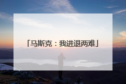 马斯克：我进退两难