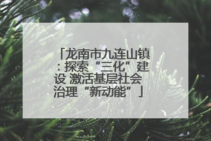 龙南市九连山镇：探索“三化”建设 激活基层社会治理“新动能”