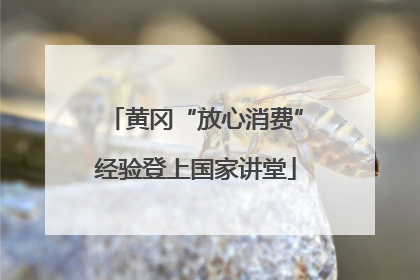 黄冈“放心消费”经验登上国家讲堂