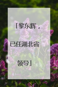 黎东辉，已任湖北省领导