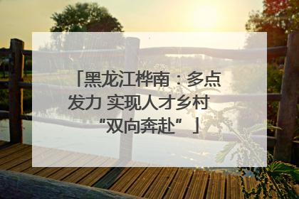 黑龙江桦南：多点发力 实现人才乡村“双向奔赴”
