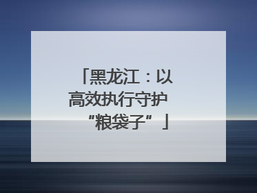 黑龙江：以高效执行守护“粮袋子”