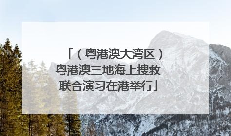 （粤港澳大湾区）粤港澳三地海上搜救联合演习在港举行