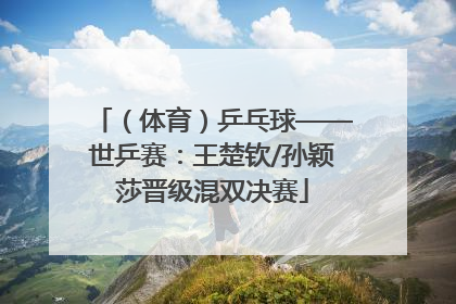 （体育）乒乓球——世乒赛：王楚钦/孙颖莎晋级混双决赛