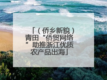 （侨乡新貌）青田“侨贸网络”助推浙江优质农产品出海