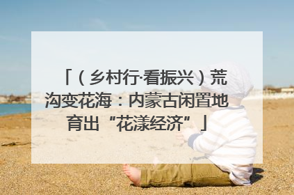 （乡村行·看振兴）荒沟变花海：内蒙古闲置地育出“花漾经济”