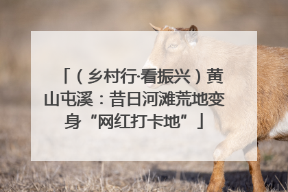 （乡村行·看振兴）黄山屯溪：昔日河滩荒地变身“网红打卡地”
