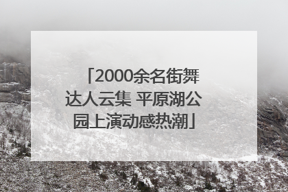 2000余名街舞达人云集 平原湖公园上演动感热潮