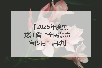 2025年度黑龙江省“全民禁毒宣传月”启动