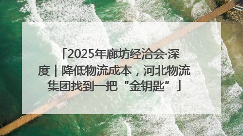2025年廊坊经洽会·深度｜降低物流成本，河北物流集团找到一把“金钥匙”