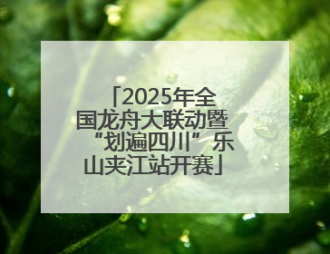 2025年全国龙舟大联动暨“划遍四川”乐山夹江站开赛