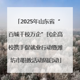 2025年山东省“百城千校万企”民企高校携手促就业行动暨潍坊市职教活动周启动