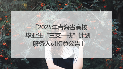 2025年青海省高校毕业生“三支一扶”计划服务人员招募公告